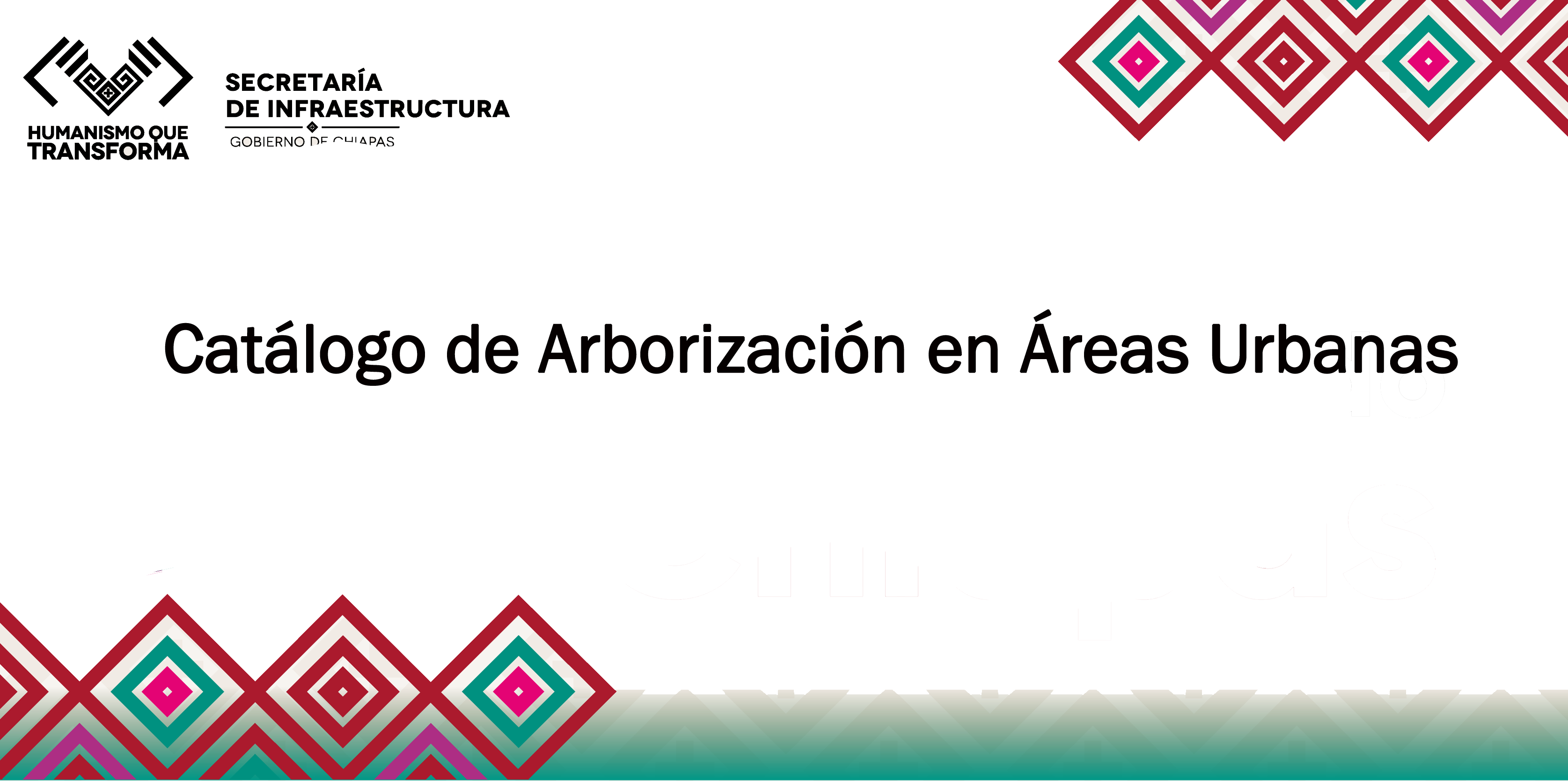 slide 7
